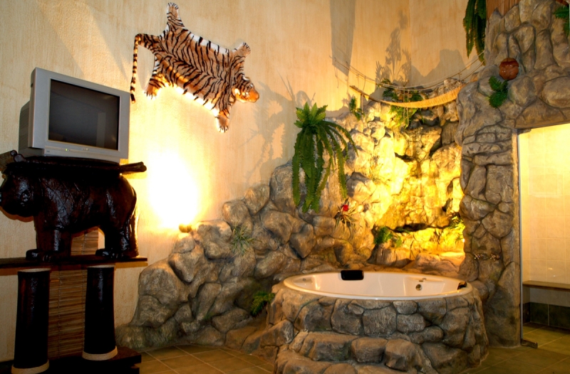 Sute Safari